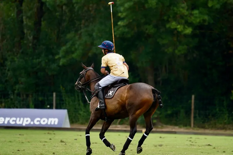 #13 - High-Goal Polo Ponies (Any Breed Mix) (Image Credits: Pexels)