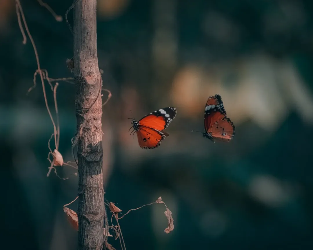 #3 Your gardening habits are lower impact than average (Image Credits: Unsplash)