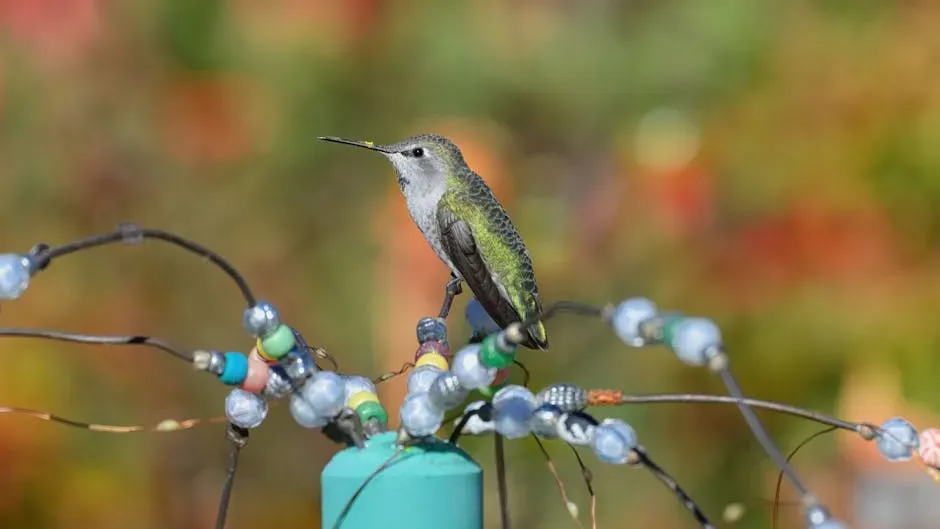 The Quantum Chemistry Happening in a Bird's Eye (Image Credits: Pexels)