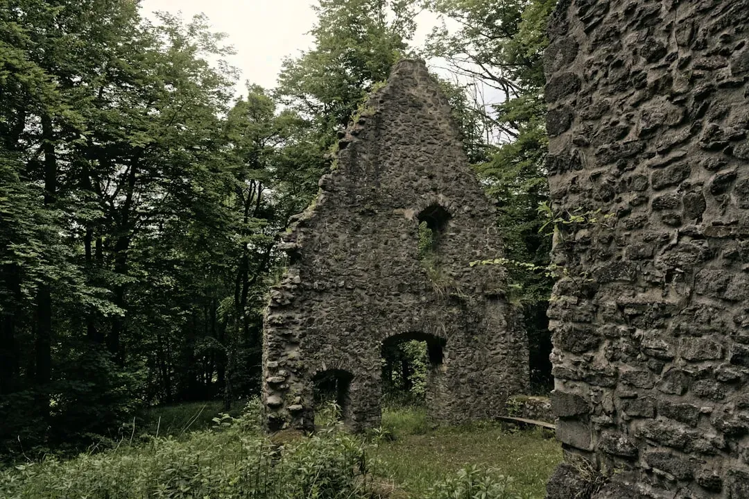 The Amazon's Lost Garden Cities That Weren't Supposed to Exist (Image Credits: Unsplash)