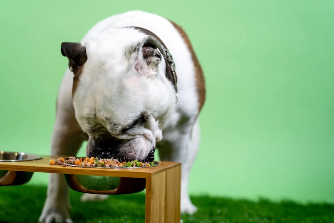 #13 - Appetite: Smaller Portions vs. Silent Red Flag (Image Credits: Unsplash)
