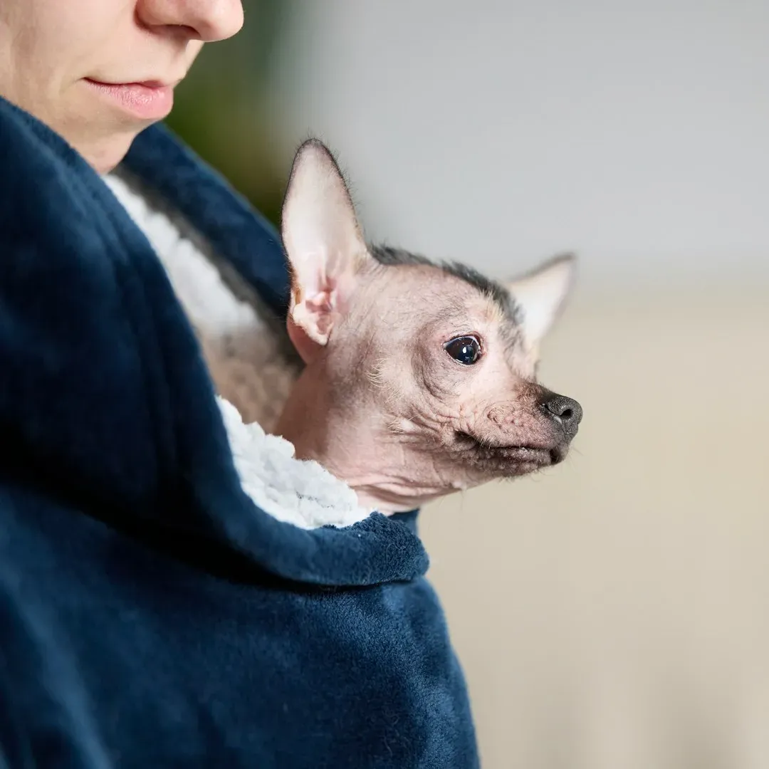 10. They Come to You for Comfort When Scared (Image Credits: Unsplash)