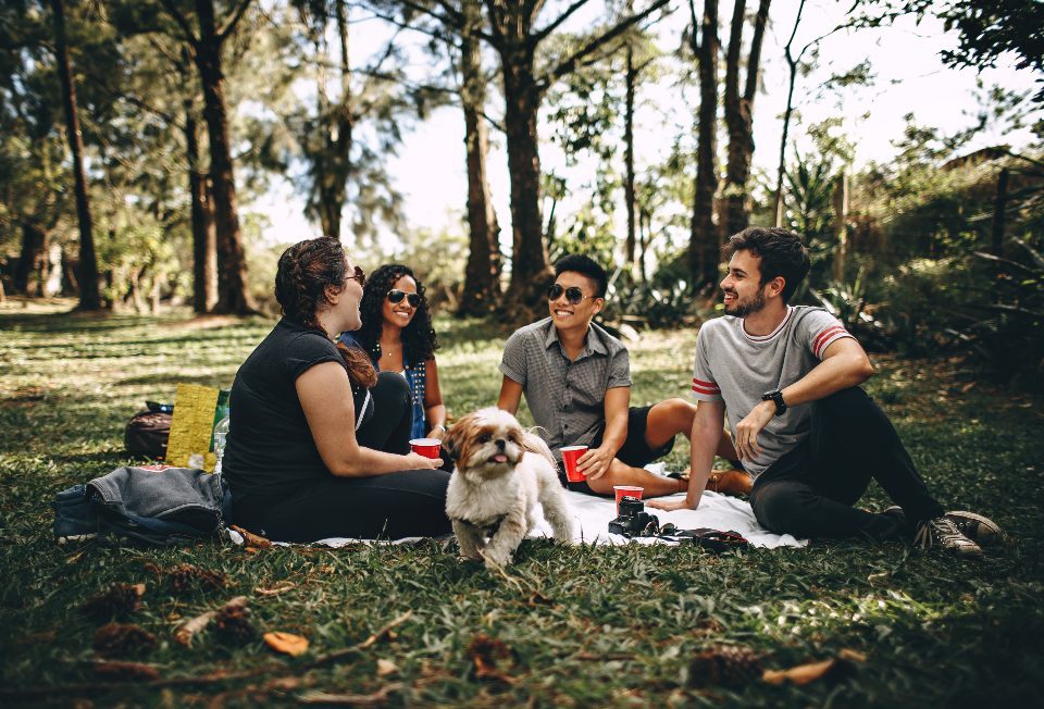 The Way Your Social Life Completely Transforms (Image Credits: Stocksnap)