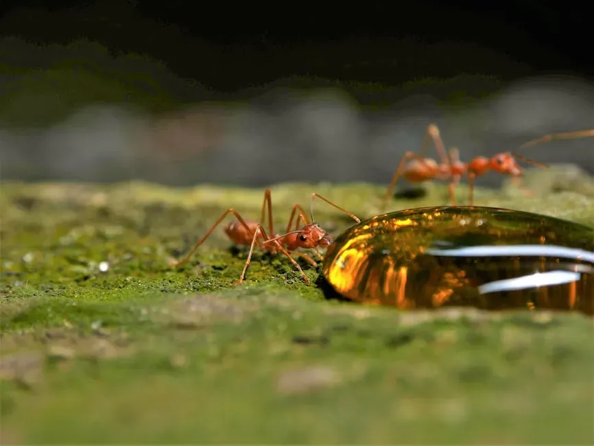 #1: The Sweet, Syrupy Scent of Sugar and Honey (Image Credits: Pexels)