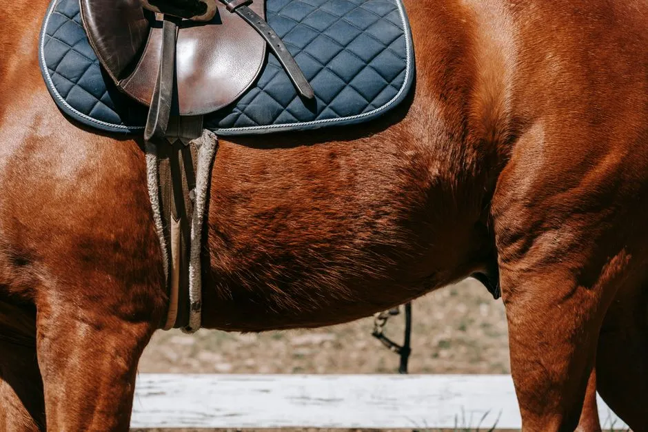#4 - They Show You Their Back…and Then Their Belly (Image Credits: Pexels)