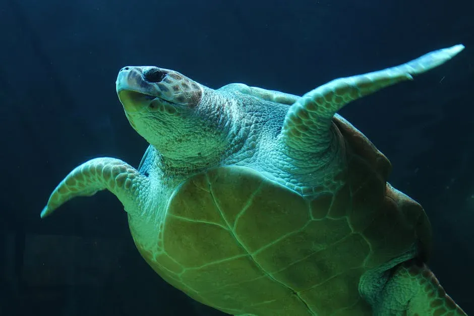 #12 Pisces (February 19 – March 20): The Loggerhead Sea Turtle (Image Credits: Pexels)