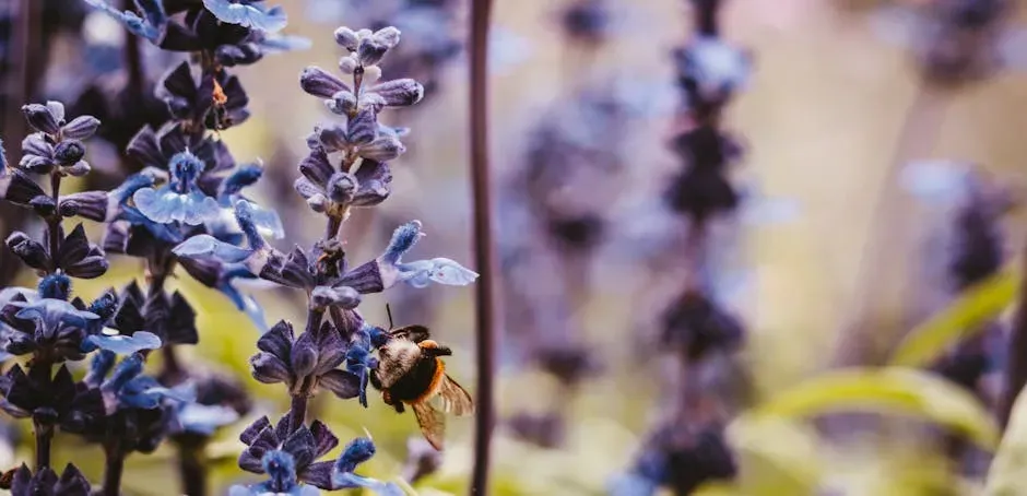 Spread the Word and Become a Citizen Scientist (Image Credits: Pexels)