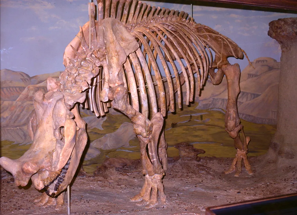 1. Ancient Lineage Dating Back Millions of Years (Yvon from Ottawa, Flickr, CC BY-SA 2.0)