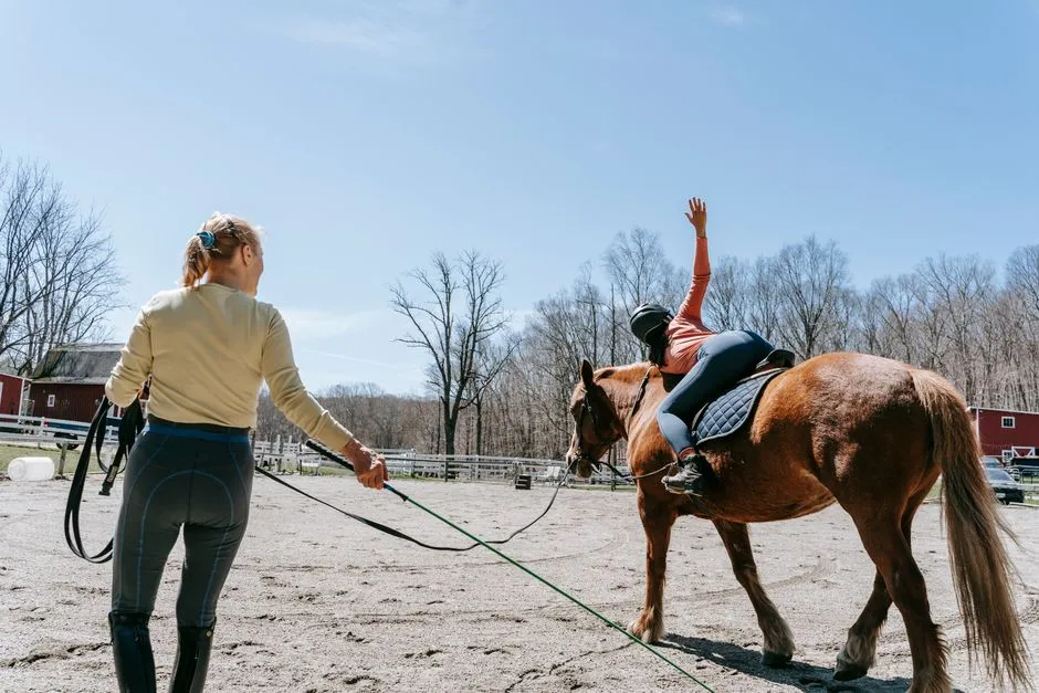#7 – Not Investing Early in Good Training (For Horse and Human) (Image Credits: Pexels)
