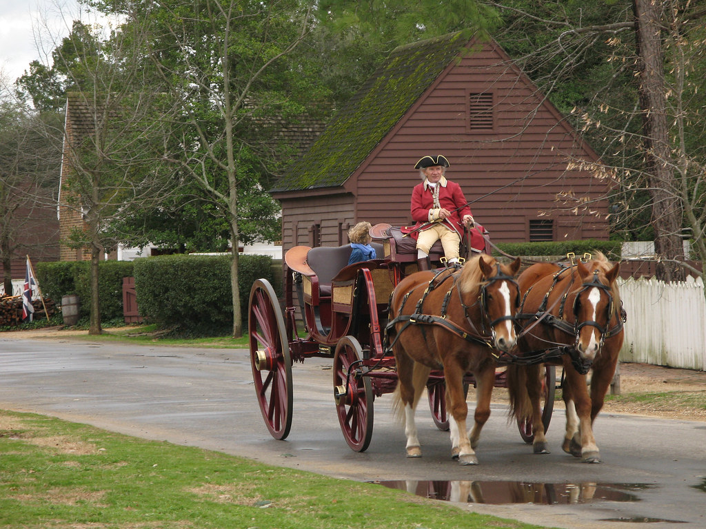 Horses: The Engines of Colonial Transportation (Image Credits: Flickr)