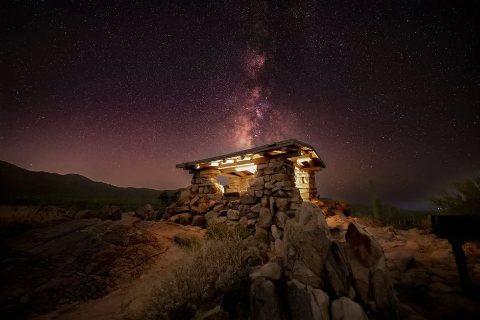 The Sixth Survivor: Improvised Shelter and Smart Use of Terrain (Image Credits: Pexels)