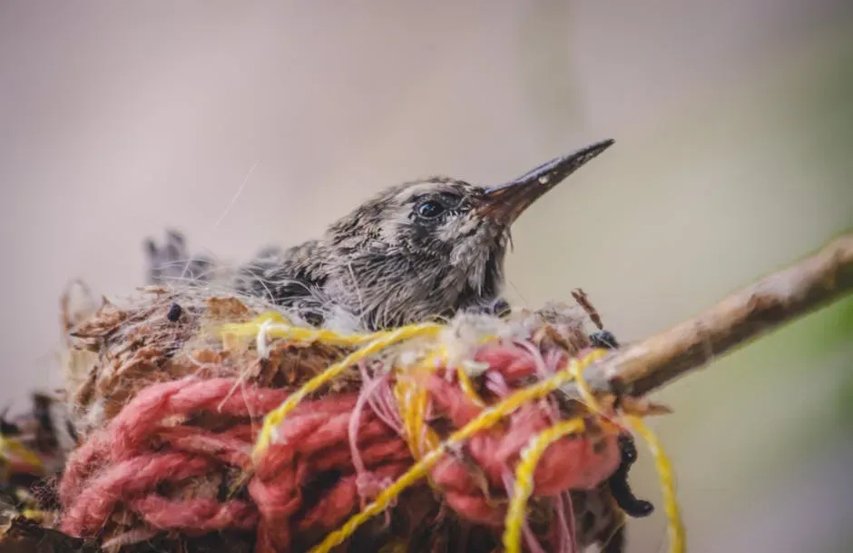 #4: The Mother Raises Every Chick Completely Alone (Image Credits: Pexels)