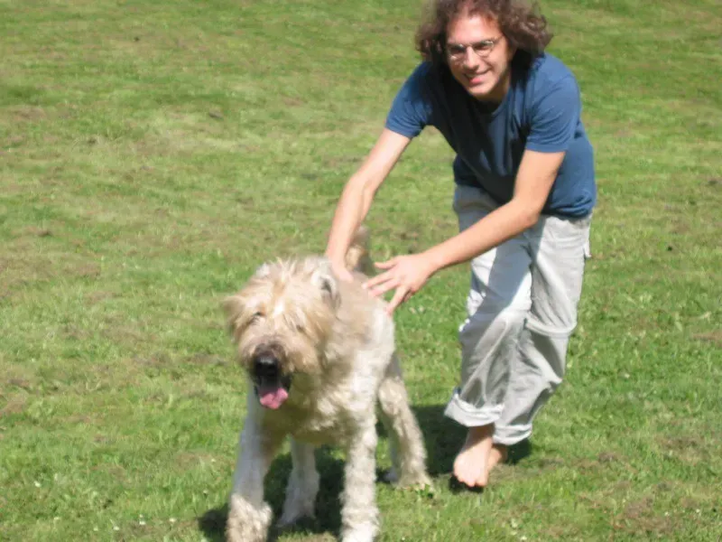 #10. Briard (radbarb, Flickr, CC BY 2.0)