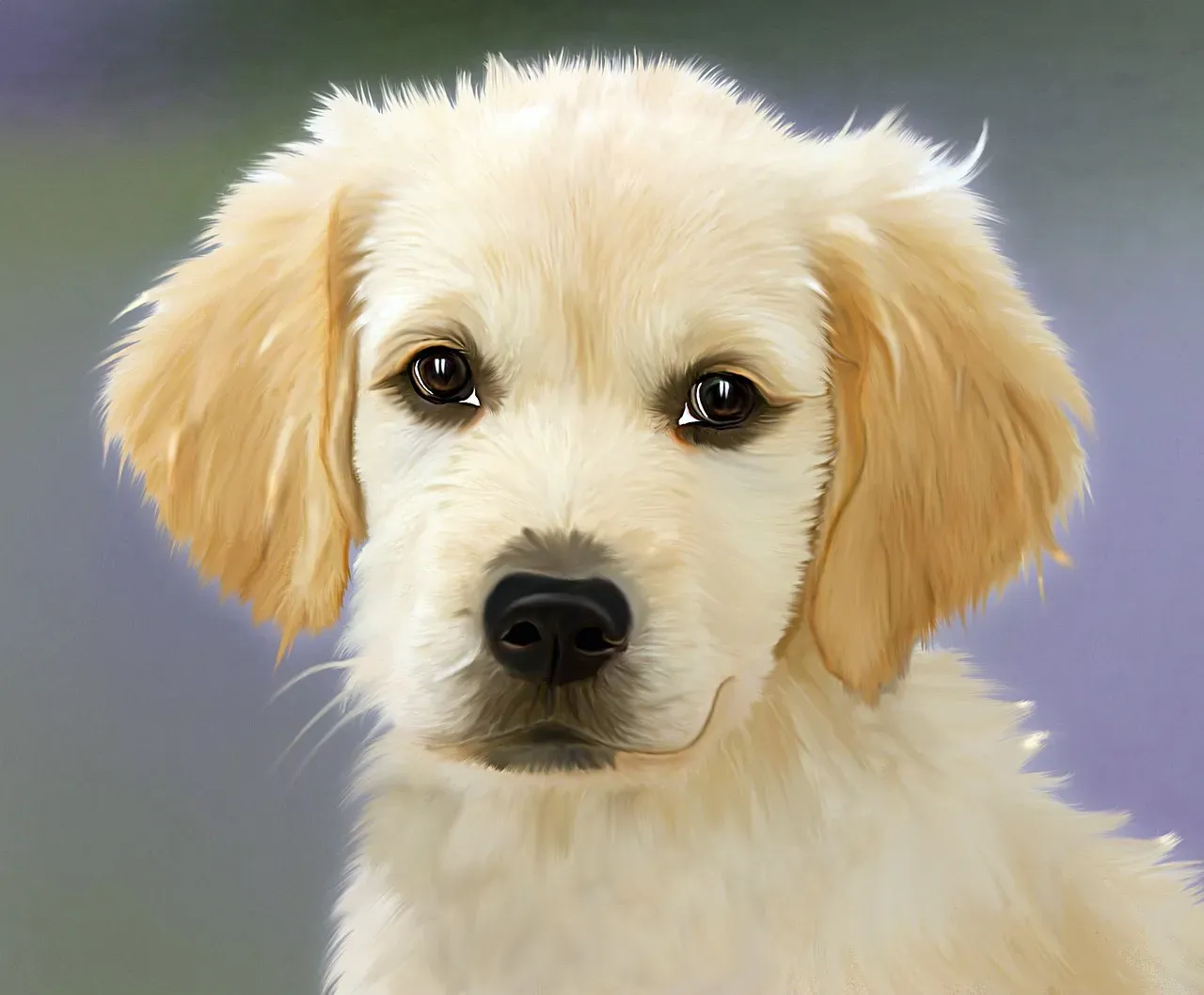 The Soft Eye Gaze That Melts Your Heart (Image Credits: Pixabay)