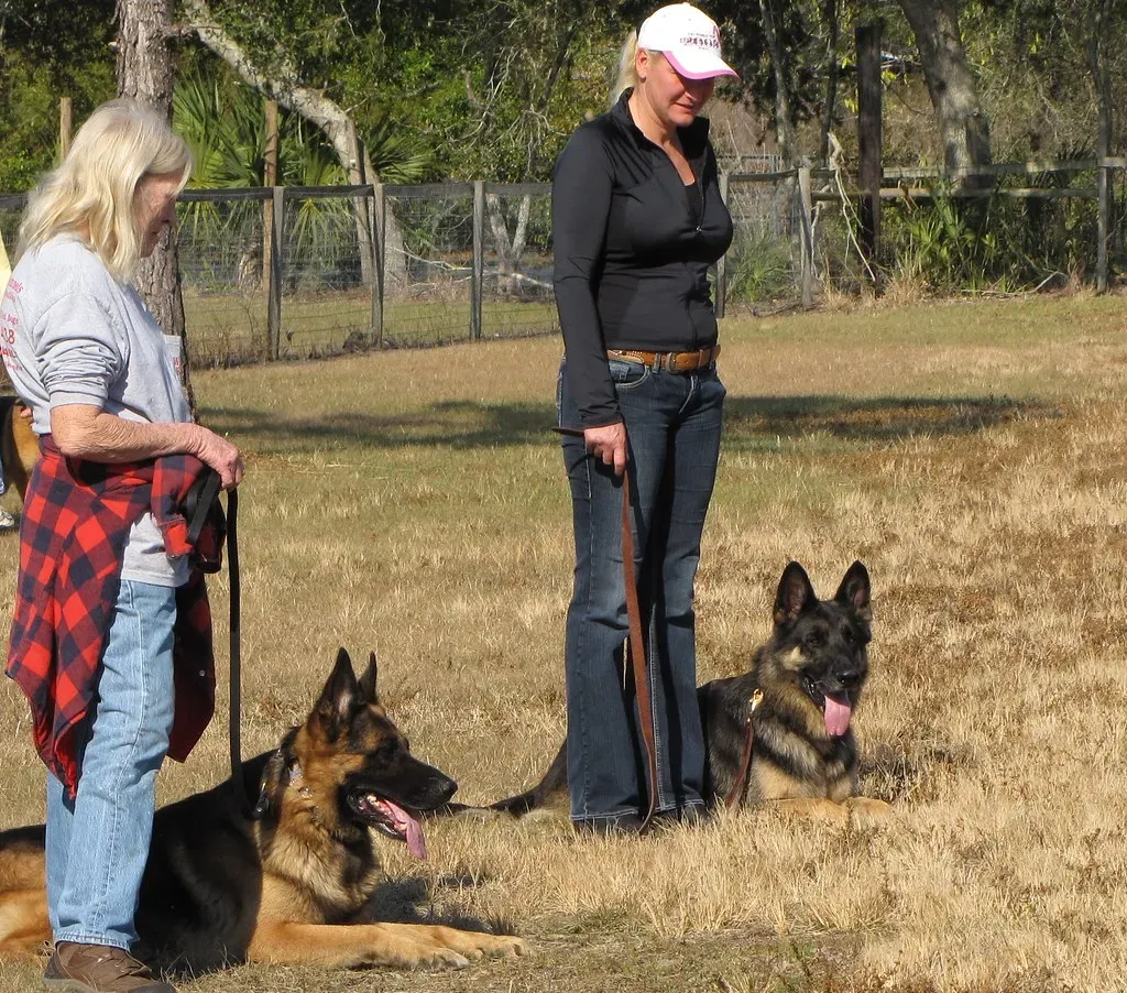 What Every Owner of These Breeds Needs to Know (Image Credits: Flickr)