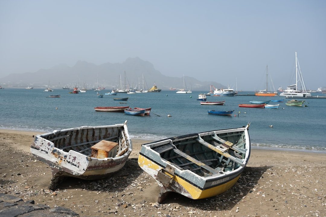 The Fishing Industry Would Collapse Overnight (Image Credits: Unsplash)