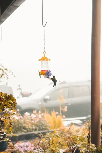 #13 - They Bathe in Dew, Mist, and Wet Leaves - Fast Enough to Miss It Entirely (Image Credits: Pexels)