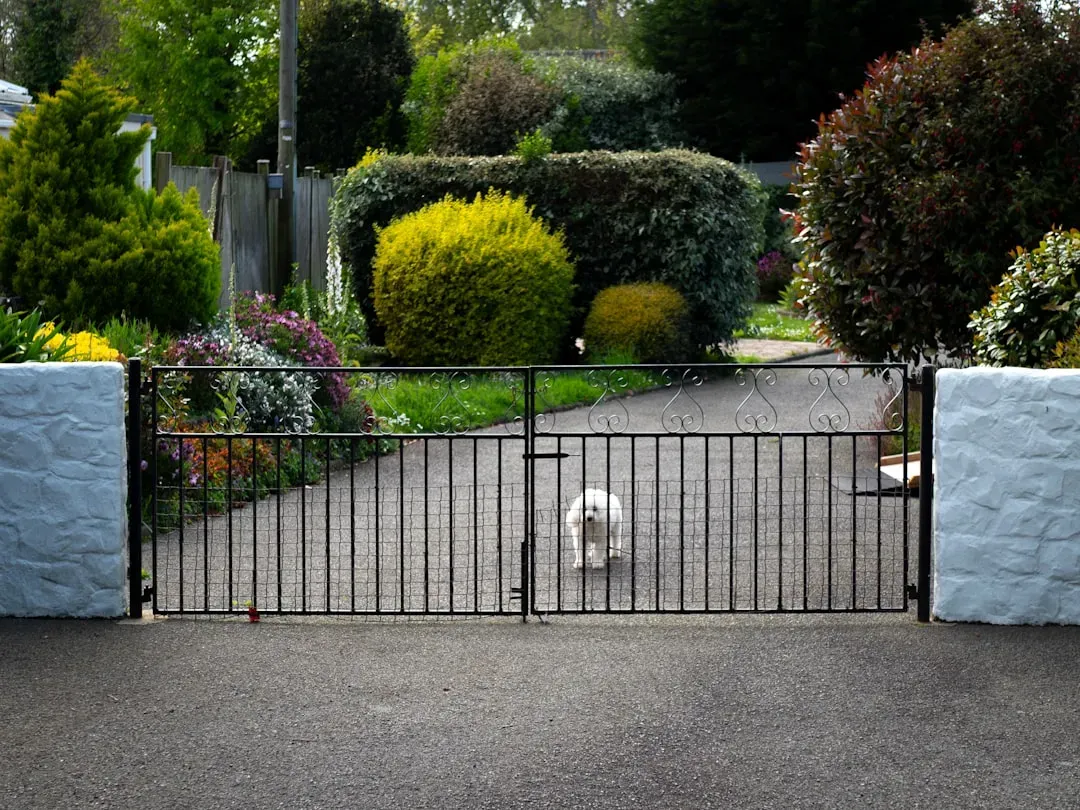 Escaping, Fence Failures, and the Risk of Getting Lost or Stolen (Image Credits: Unsplash)