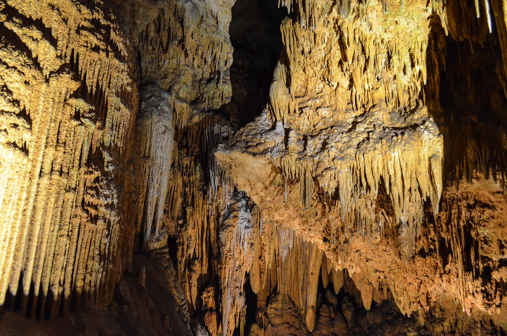 Wind Cave National Park (Image Credits: Flickr)
