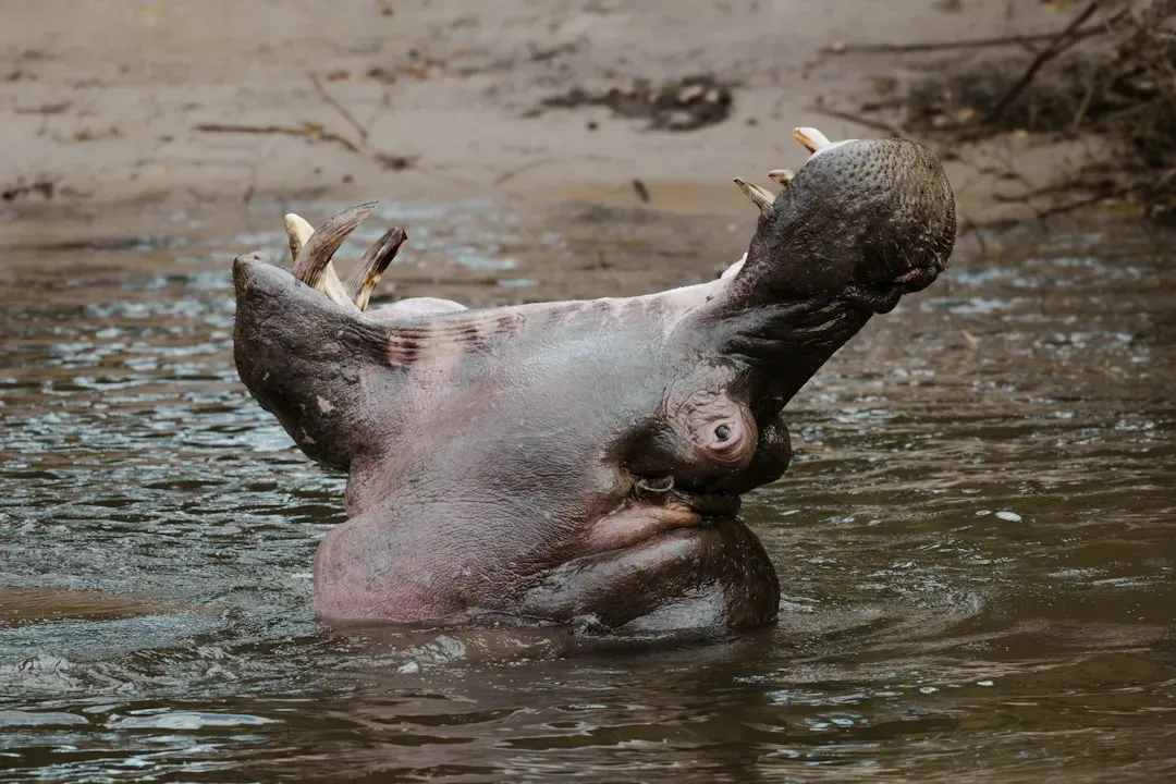 Their Jaws Are Engineered Weapons (Image Credits: Unsplash)
