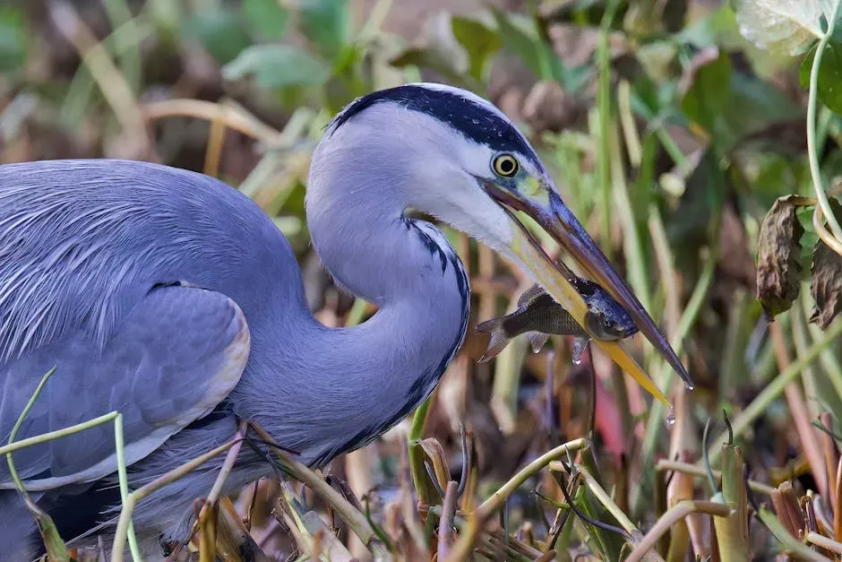 Fish and Shellfish Cannot Thrive Without Them (Image Credits: Pexels)