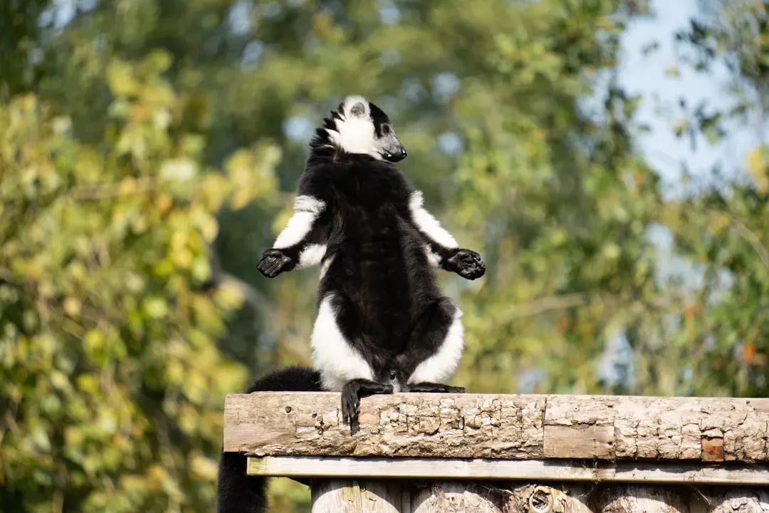 They Perform a Warning Dance Before Spraying (Image Credits: Unsplash)
