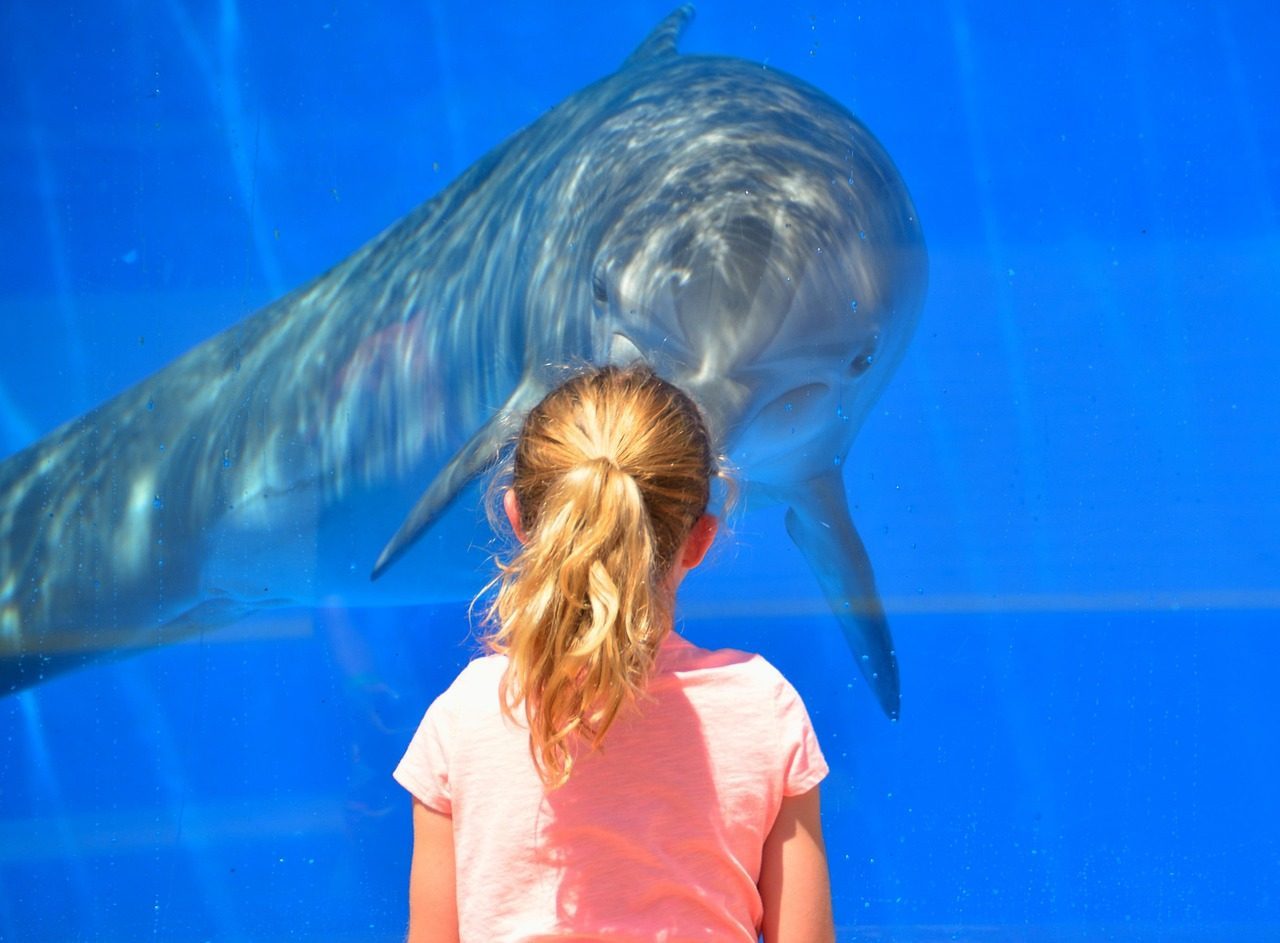 Tourism and Recreation Would Transform Completely (Image Credits: Pixabay)