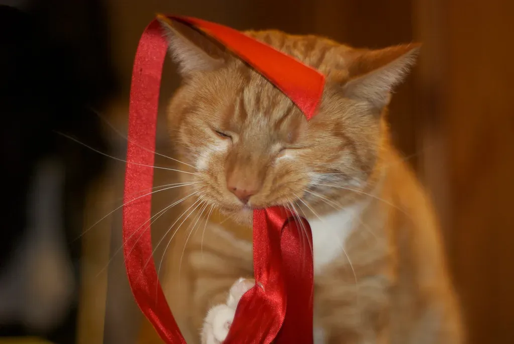 String, Ribbon, and Linear Objects (Image Credits: Flickr)
