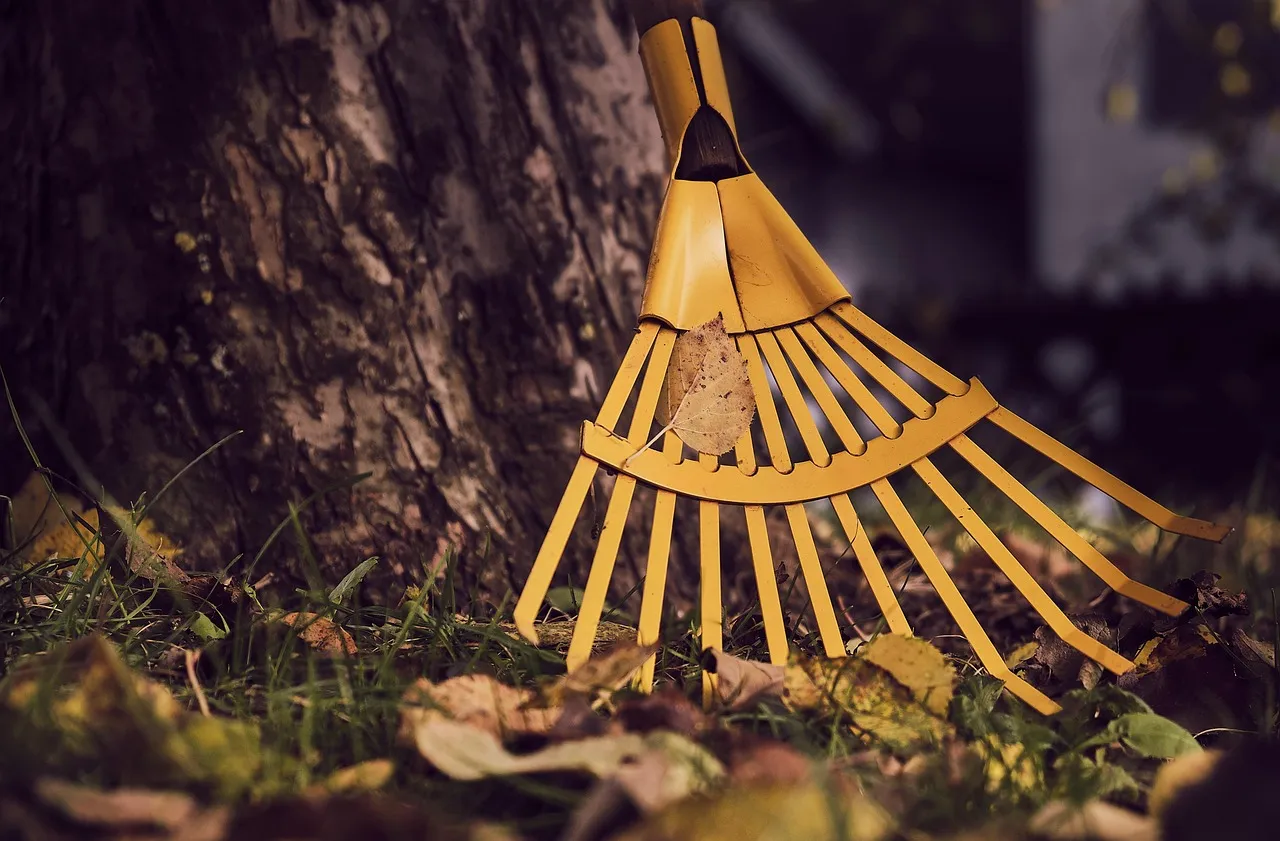 #19 - Stop "Fall Cleaning" Like a Landscaper (Image Credits: Pixabay)
