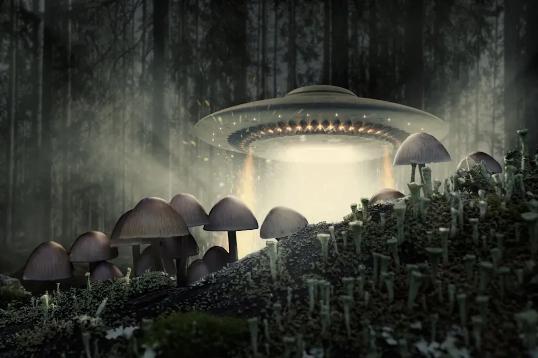 7. Hostile Aliens (Image Credits: Unsplash)