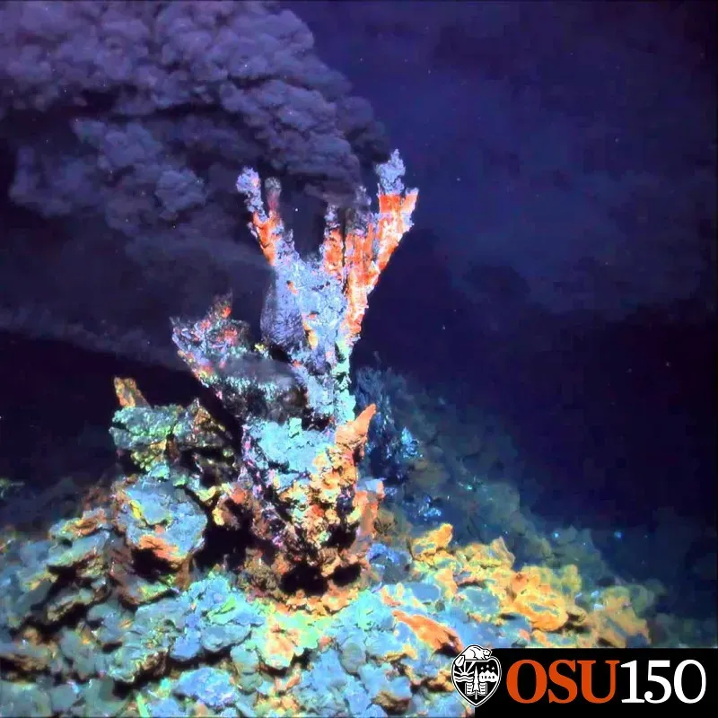 Life Without Sunlight: Chemosynthesis and Hydrothermal Vents (Image Credits: Flickr)