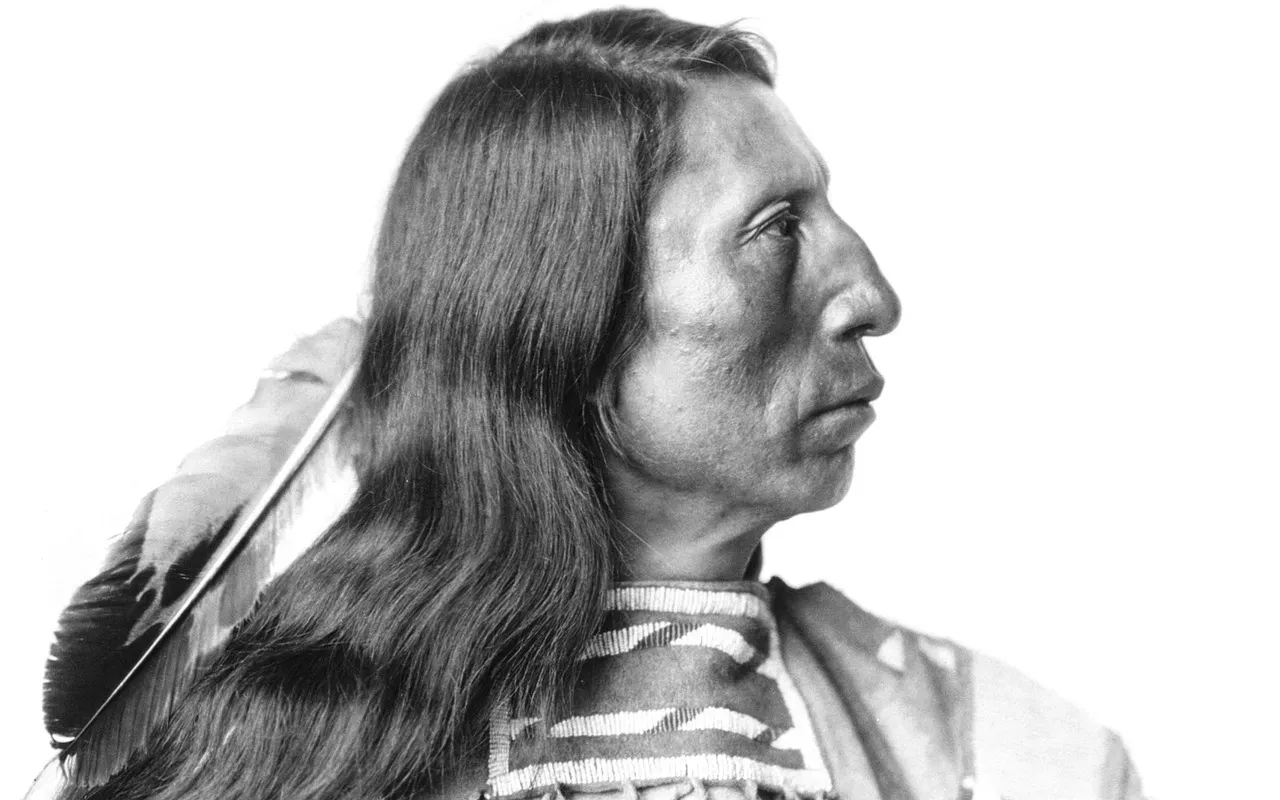 The Sioux Nation Continues to Assert Its Sovereignty Today (Image Credits: Pixabay)