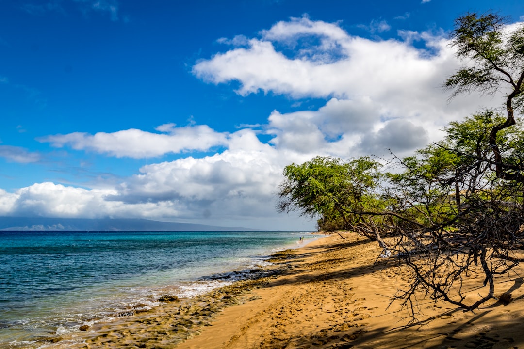 Hawaii: Paradise with Perpetual Warmth (Image Credits: Unsplash)
