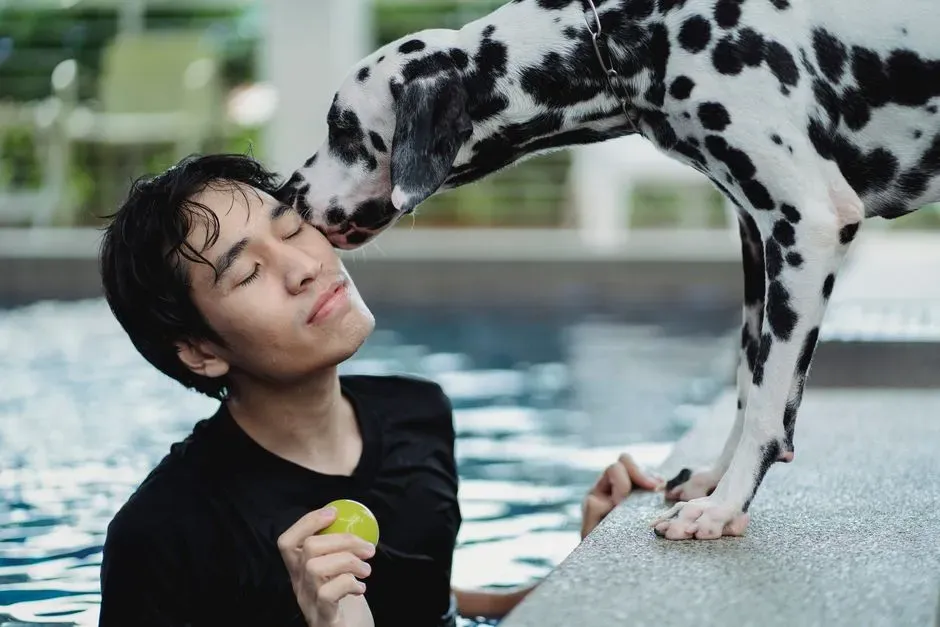 #5 – Whether the Dog Watches Its Owner (Image Credits: Pexels)