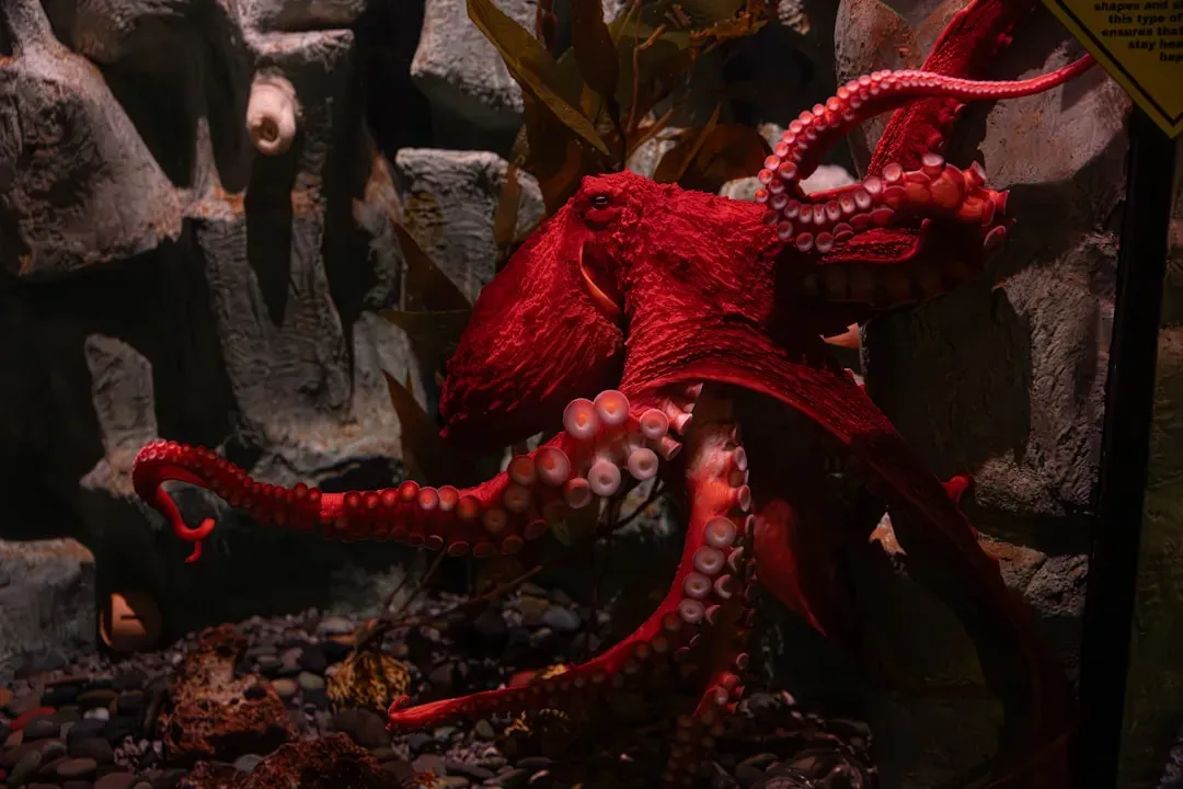 Pisces: The Octopus (Image Credits: Unsplash)
