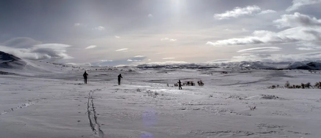 #1 - Humans Survived the Ice Age. Our Closest Relatives Didn't (Image Credits: Unsplash)