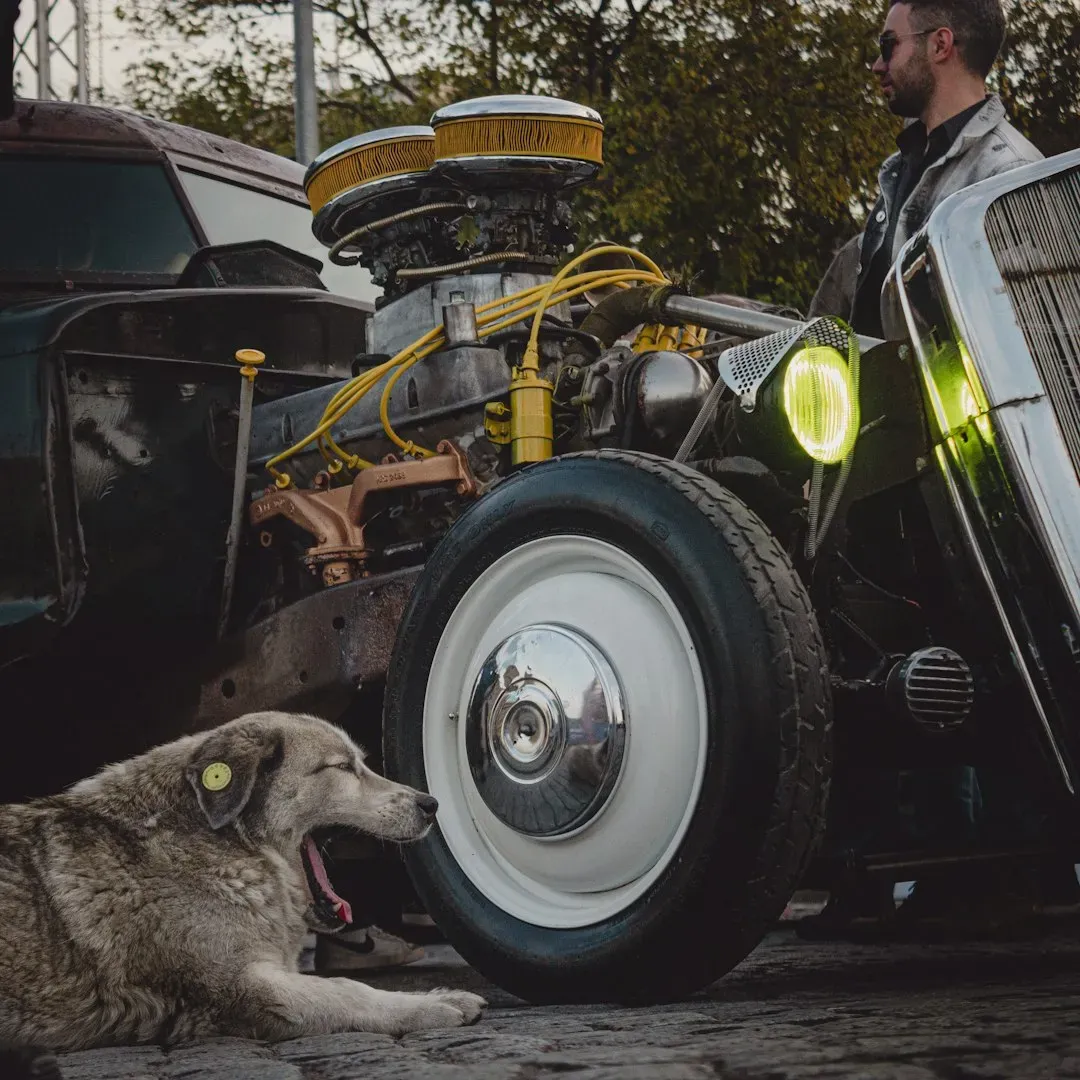 Vehicle Engines Idling Unusually Close (Image Credits: Unsplash)
