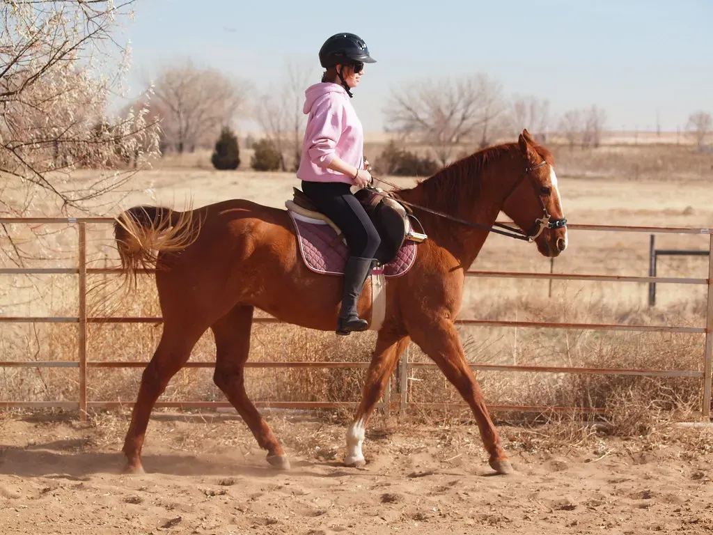 #2 - Riding Without Stirrups for Balance (lostinfog, Flickr, CC BY-SA 2.0)