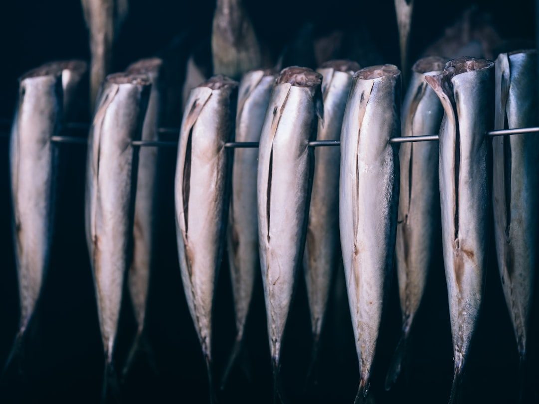 Washington: Processing Powerhouse and Consumer Hub (Image Credits: Unsplash)