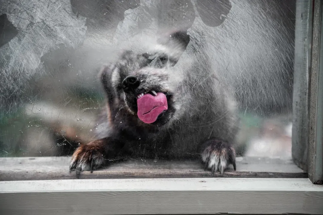 Use Bear Spray Only If Necessary (Image Credits: Unsplash)
