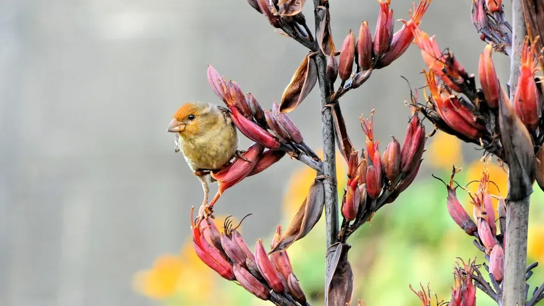 Plant Native Species and Watch Everything Change (Image Credits: Unsplash)
