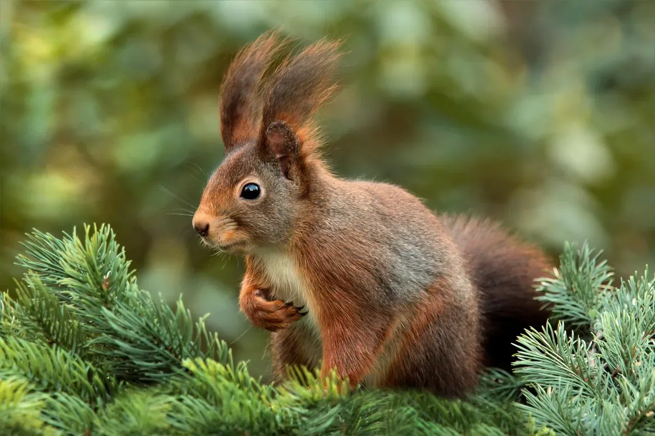Stones and Pebbles: The Objects Nobody Can Fully Explain (Image Credits: Pixabay)