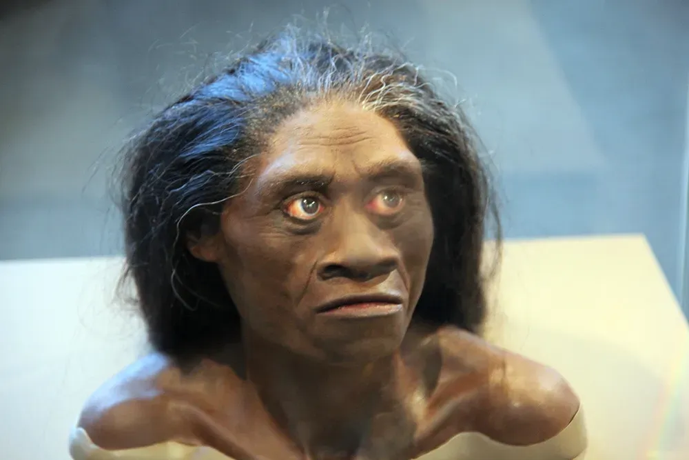 Homo Floresiensis Lived Alongside Modern Humans Until Recently (Tim Evanson, Flickr, CC BY-SA 2.0)