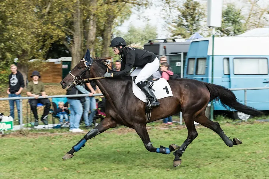 Dutch Warmblood (Image Credits: Pexels)