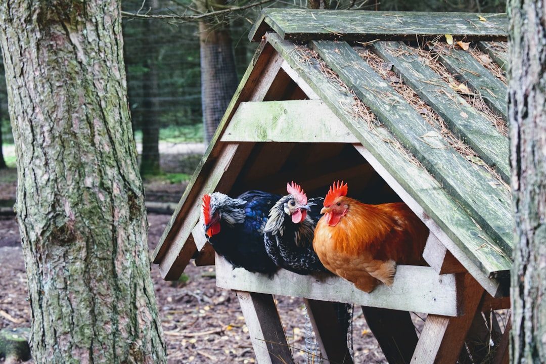 Creating a Safe and Comfortable Home (Image Credits: Unsplash)