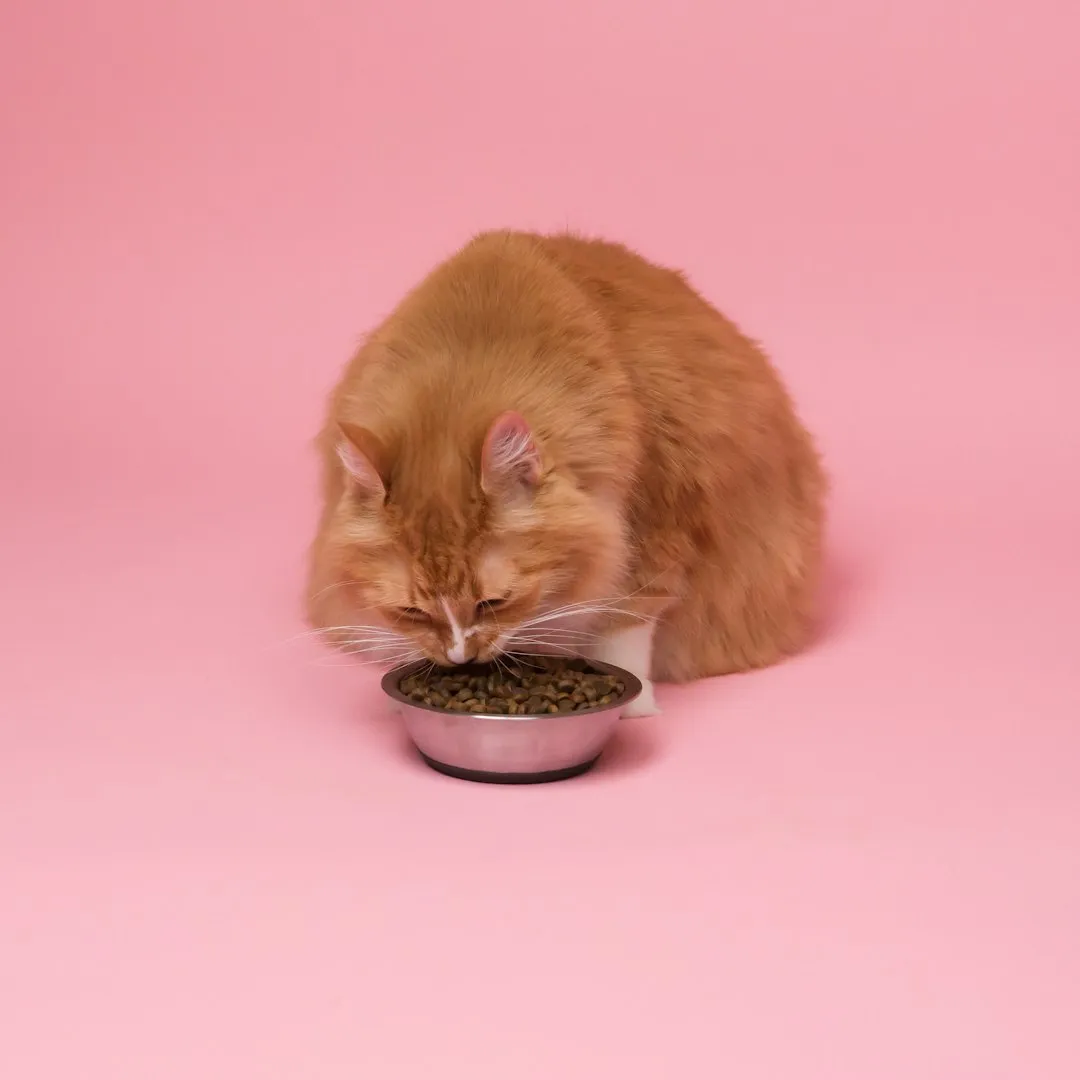 11. Changes In Appetite Specifically At Night (Image Credits: Unsplash)