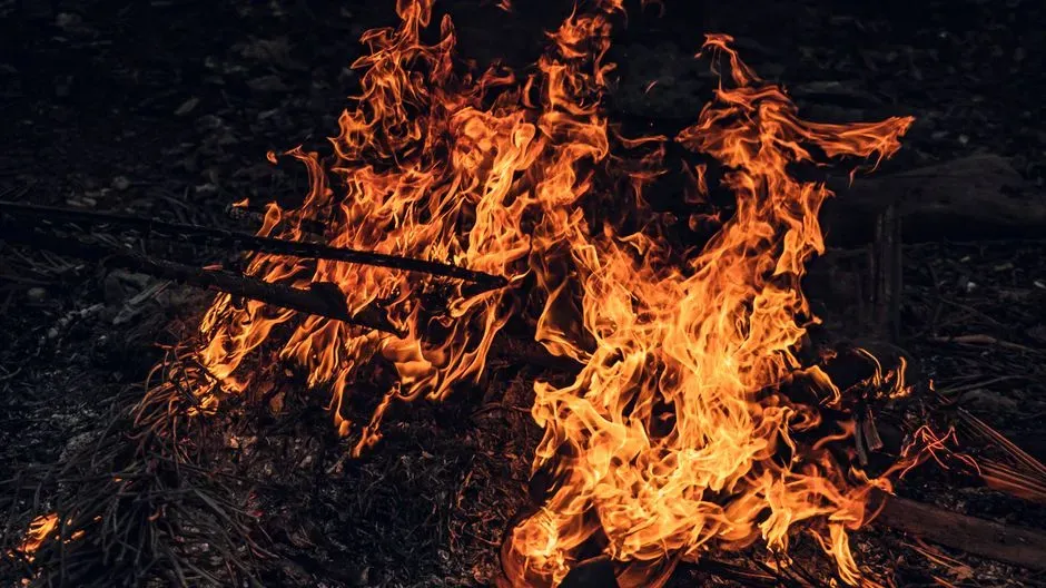 Sagittarius Travels With The Energy Of Fire (Image Credits: Pexels)