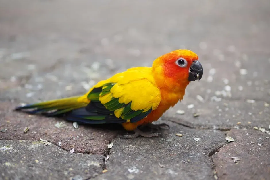 7. Conure: The Energetic Little Problem-Solver (Image Credits: Pexels)