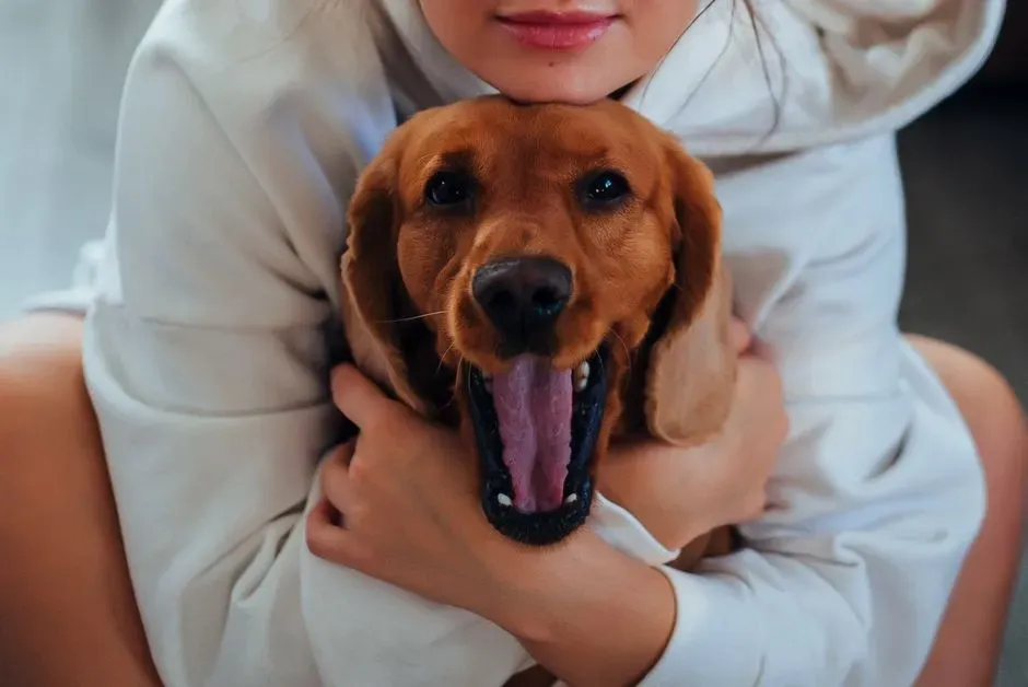 They Seek Extra Physical Contact or Affection (Image Credits: Pexels)