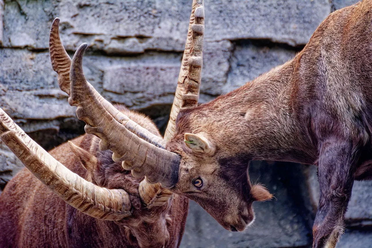 Conclusion: Evolution Never Stops Surprising Us (Image Credits: Pixabay)
